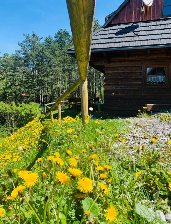 Drevenica Uhorčík Terchová Exterior foto